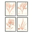 thumbnail image 2 of Stupell Industries Coral Red Seaweed Vintage Scientific Study Gray Framed by Vision Studio, 2 of 5