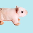 thumbnail image 3 of Peluche de cerdo ecológico Deluxe Paws hecho con materiales 100% reciclados, 3 of 5