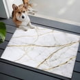 thumbnail image 4 of Gray Marble Washable Small Entryway Area Rugs 2'x3', Gold Lines Low Pile Throw Rug Non-Slip Sturdy Edge Binding Carpet for Front Door Floor Room Entry, 4 of 9
