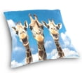 thumbnail image 3 of Coolnut Funny Giraffes Pillow Covers Soft Crystal Velvet Decor Giftsative Cushion Covers Square Throw Pillow Covers Home Decor Gifts for Sofa, 18×18 Inch, 3 of 7