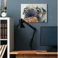 thumbnail image 2 of Stupell Industries Pug And Pizza Funny Dog Pet Animal Watercolor Painting Canvas Wall Art by George Dyachenko, 2 of 6
