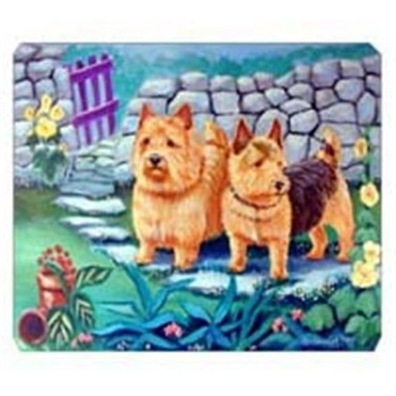 8 x 9.5 in. Norwich Terrier Mouse Pad, Hot Pad or Trivet