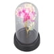thumbnail image 5 of Rosa Iluminada en Cúpula de Vidrio, Flores Coloridos Regalos de Navidad para Aniversario, 5 of 7