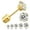 gold--5 pairs, variant on 5 Pairs Push-in Flat Back Stud Earrings Surgical Stainless Steel CZ Women 4-8mm