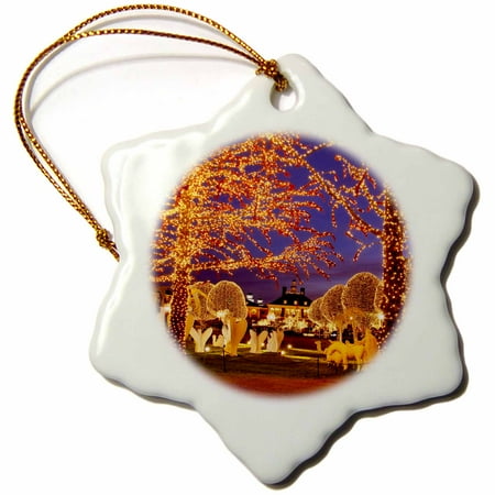 Opryland Hotel Christmas 3dRose Christmas, Opryland Hotel, Nashville, Tennessee USA - US43 BJN0047 - Brian Jannsen - Snowflake Ornament, 3-inch ()
