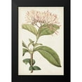 thumbnail image 2 of Ridgeway 17x24 Black Modern Framed Museum Art Print Titled - Antique Botanical Collection VI, 2 of 5