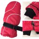 thumbnail image 5 of Greeniant Niños esquí mitones niños manos calentador niños pequeños mitón deporte al aire libre invierno mitón ropa accesorio mano Ciclismo Azul, 5 of 6