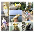 thumbnail image 3 of Bird Harness Leash Set Easy to Wear Creative Fashion Parrot Harness with Leash, 3 of 6