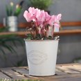 thumbnail image 4 of Macetas colgantes de Metal para flores, cubo de hierro, maceta, cubo de Metal, soporte de flores con gancho, decoración interior y exterior para valla de barandilla, 2 uds., 4 of 5