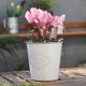 thumbnail image 4 of Macetas colgantes de Metal para flores, cubo de hierro, maceta, cubo de Metal, soporte de flores con gancho, decoración interior y exterior para valla de barandilla, 2 uds., 4 of 5