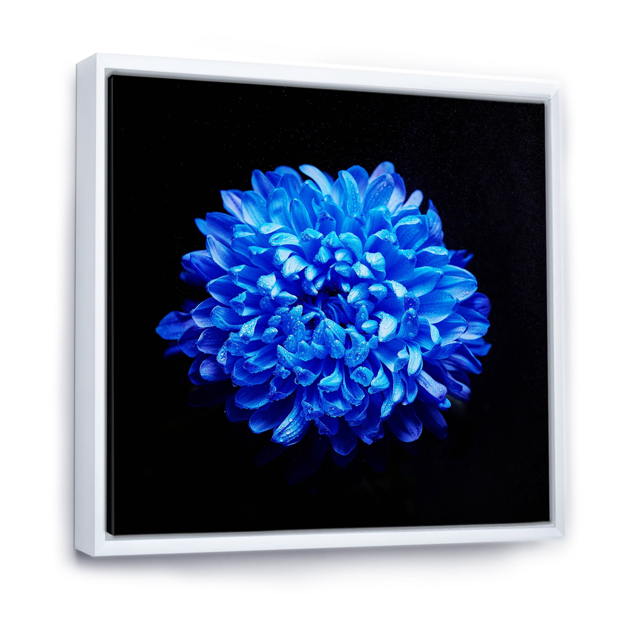 Designart 'Dew Drops on Blue Aster ' Traditional Framed Canvas Wall Art Print