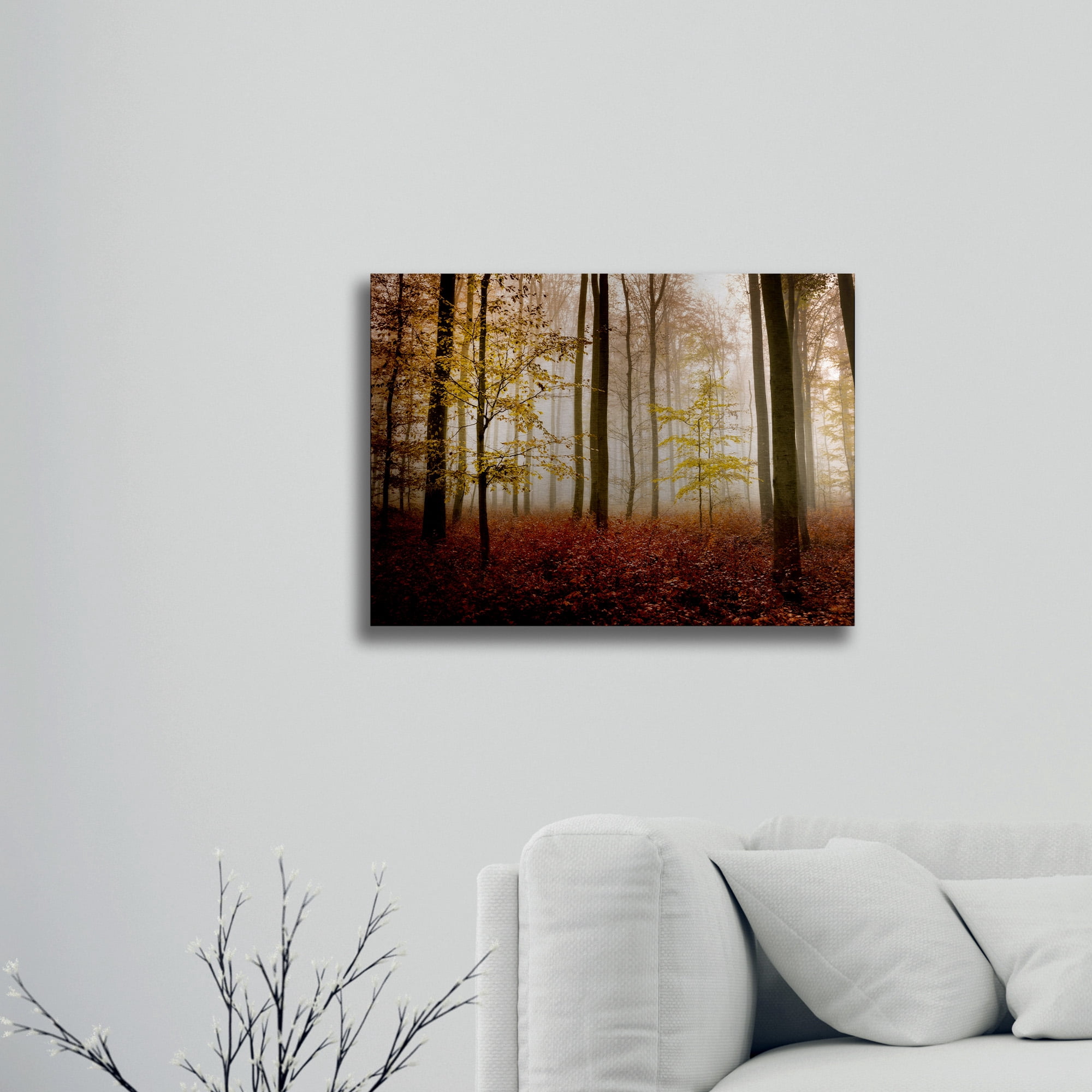 Trademark Fine Art 'Calmness' Brushed Aluminum Wall Art Art by Philippe Sainte-Laudy