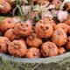 thumbnail image 3 of Jardín de Calabaza en Miniatura de Jardín, 20 piezas de miniaturas decorativas de calabaza figuras resistentes a la intemperie para el hogar para el hoger, 3 of 7