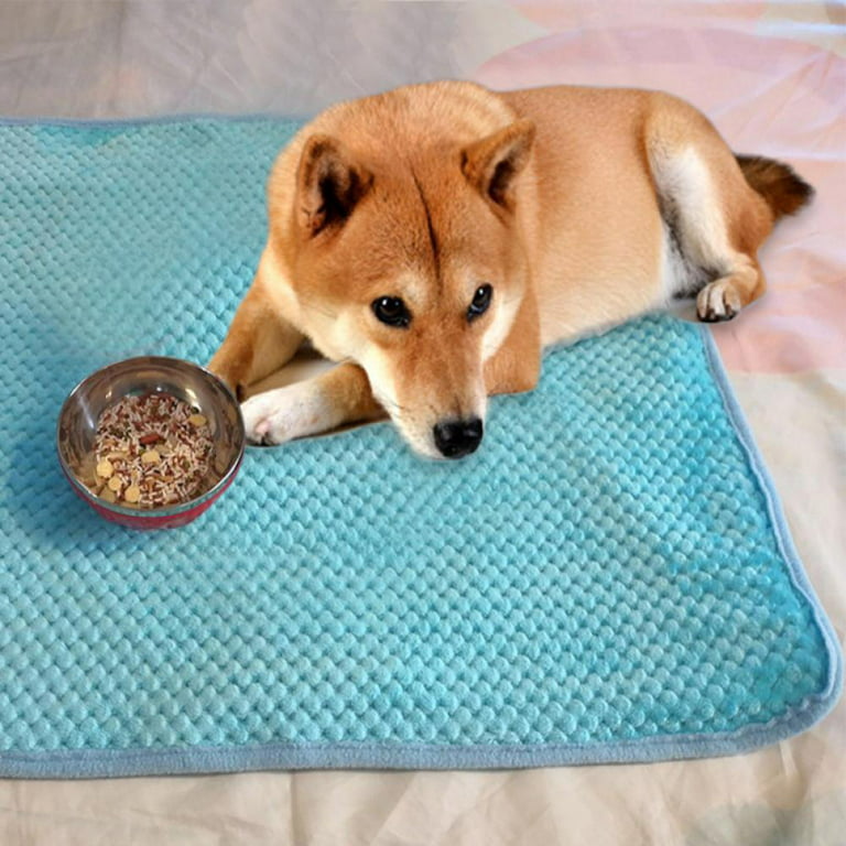 Waterproof Reusable Dog Bed Mats Pet Urine Pad Puppy Pee Fast Absorbing Pad  Rug