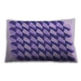 thumbnail image 1 of Ahgly Company Indoor Rectangular Contemporary Lumbar Throw Pillow, 13 inch by 19 inch, 1 of 5