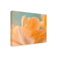 thumbnail image 2 of Judy Stalus 'Double Vision I' Canvas Art, 2 of 3