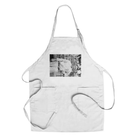 Brooklyn Dodgers Photo - Ivan Olson, Brooklyn Robins (Dodgers), Baseball Photo (Cotton/Polyester Chef's Apron)
