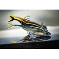 thumbnail image 5 of Berkley PowerBait The Champ Minnow Soft Fishing Bait, 5 of 7