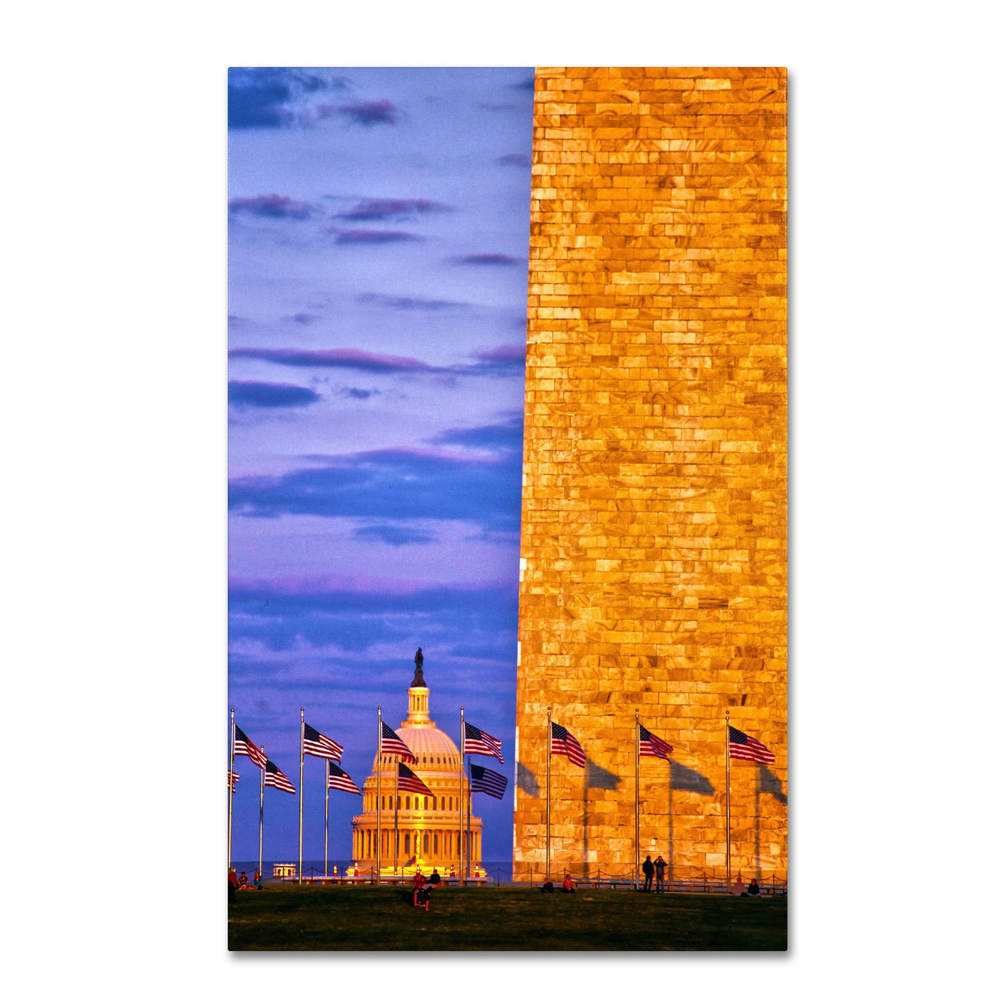 Trademark Fine Art "America" Canvas Art by CATeyes
