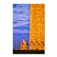 thumbnail image 2 of Trademark Fine Art "America" Canvas Art by CATeyes, 2 of 4