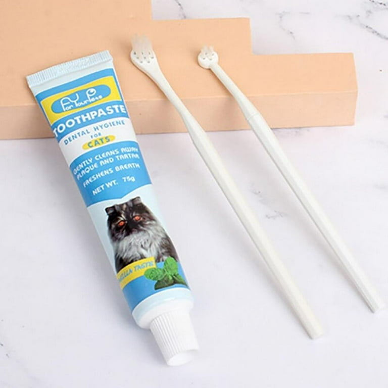Pet Toothbrush Set Healthy Edible Toothpaste Cats Oral Teeth Cleaning Care Supplies Pet Dental Accessories - Walmart.com