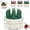 Green, variant on Kitchen Knife Sharpener with Suction Base, Pocket Hands Free Knife & Scissors Sharpener, Multi-Angle Professional Sharpening Tool for , Scissors, Cleavers,Versatile Sharpening Tool