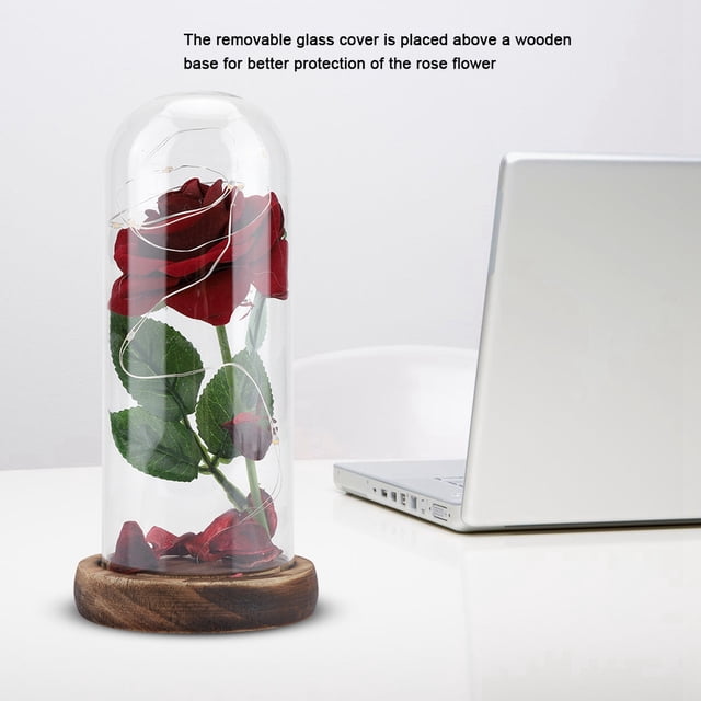 Lámpara de Flores, Flores de Cumpeados de Flores preservadas para Mujeres Rosas Conservadas con Cubión de Vidrio para Aniversarios, Bodas, Cumpados o Cualquier Ocasión