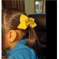 thumbnail image 5 of 40 Piezas Pinzas para Lazos para el Cabello Cinta de Grosgrain Pinzas de Cocodrilo para Lazos para el Cabello para Niñas, Adolescentes, Niños Pequeños (20 Colores en Pares) (4,5 Pulgadas), 5 of 5