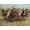 Unframed, variant on Art.com Victory Dance Art Print by Frederic Sackrider Remington, 16" x 12"