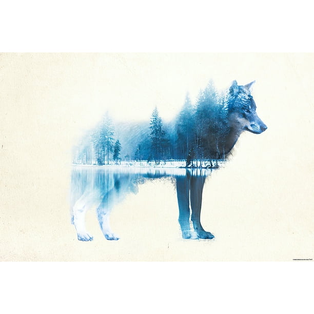 Indstilling midlertidig partikel Forest Wolf - Art / Nature Poster / Print (Art By Madeleine) (Size: 36" X  24") - Walmart.com