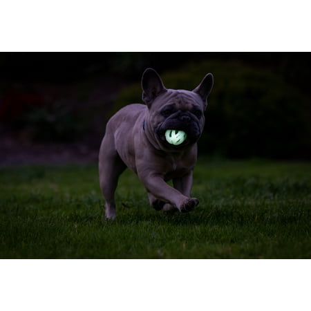 Chuckit! Air Glow in the Dark Fetch Hard Breathe Easy Dog Ball, Small 2" for Dogs up to 20 lb, Pack of 2, White