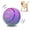 Purple, variant on Petbobi Interactive Toy Dog Ball Moving Toys Ball for Dogs,Yellow
