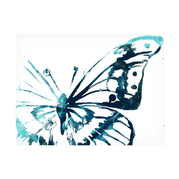June Erica Vess 'Butterfly Imprint V' Canvas Art