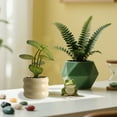 thumbnail image 1 of Decoración del hogar, decoración de habitaciones, decoración de paredes, plantas de simulación, plantas decorativas pequeñas en macetas, oficina, sala de estar, escritorio, adornos de bonsáis de inter, 1 of 6