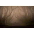 thumbnail image 2 of Galus, Piotr 24x17 Gold Ornate Wood Framed with Double Matting Museum Art Print Titled - On The Foggy Alley., 2 of 4