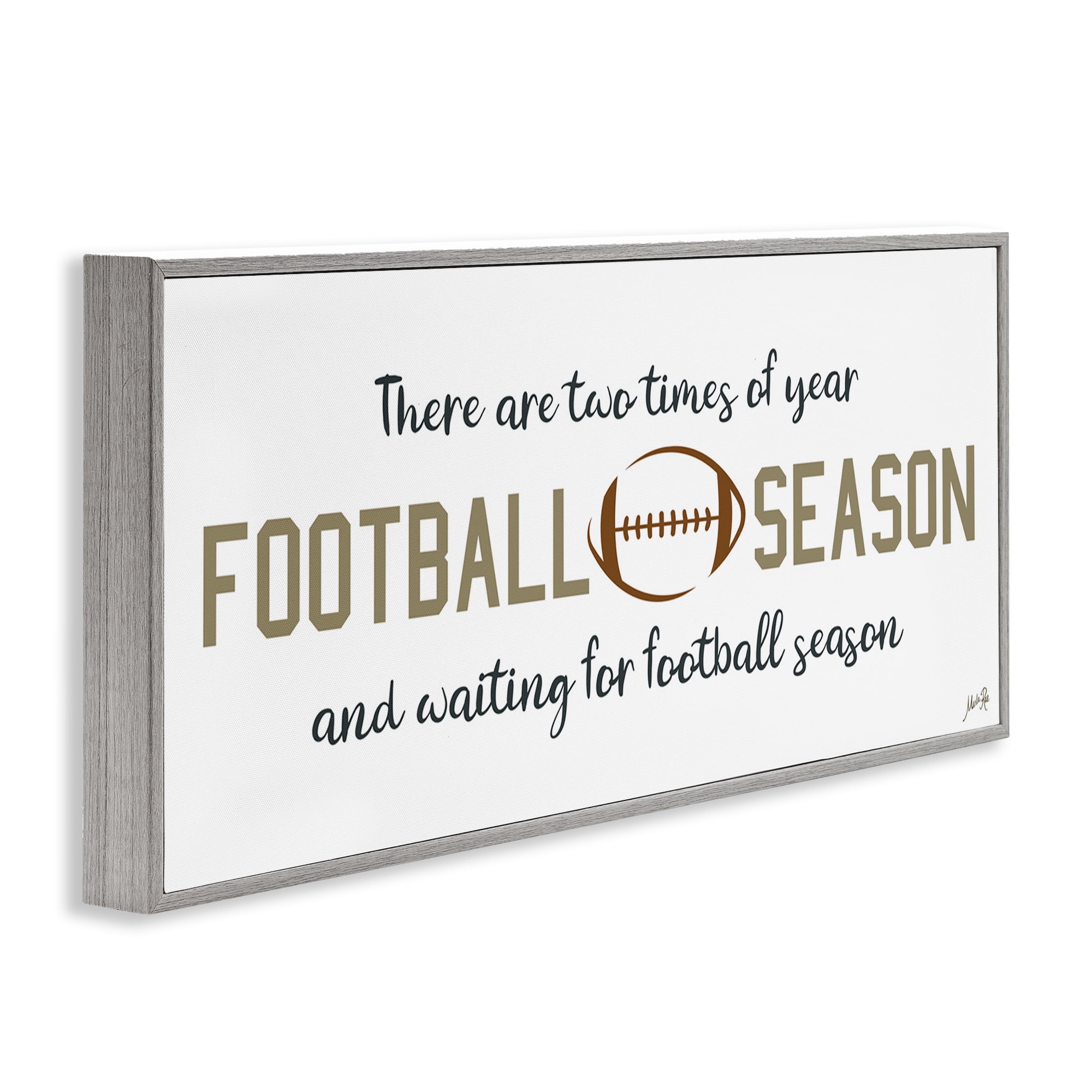 Stupell Industries Two Times of Year Sports Painting Gray Framed Art Print Wall Art, 24 x 10