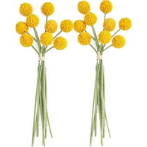 30Pcs Fake Billy Balls,Craspedia Globosa Benth,Artificial Billy Ball Flowers,Boho Flower Bouquet Floral Arrangements,for Wedding Party DIY Crafts Home Decor (Golden)