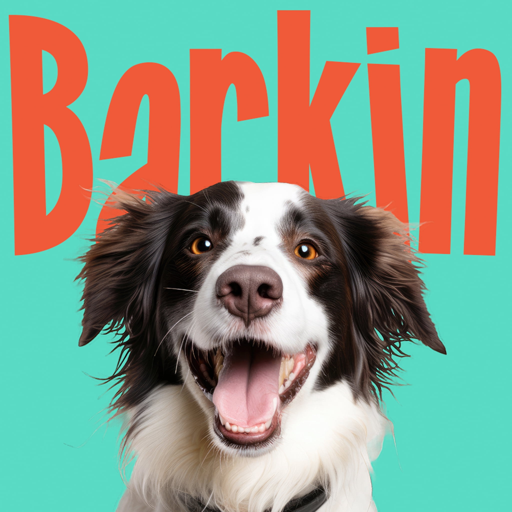 Barkin Protein Jerky Chips Dog Treats, Salmon & Sweet Potato, 90% Protein, Limited Ingredient, High-Protein Training Treats, Made in USA, 3 Pack
