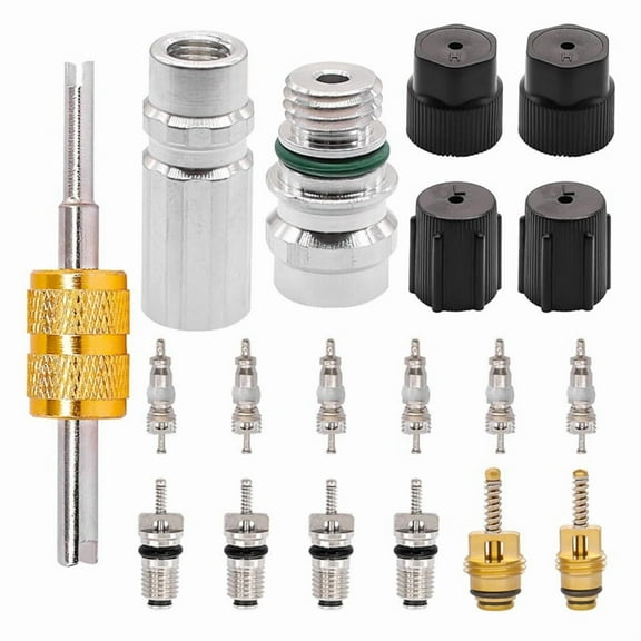 19PCS Air Conditioning Valve Core Car AC R12 R134a Refrigeration Stem Cores Service Charging Port Seal Caps Kit