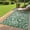 Green/White, variant on Nanan 8x10ft Outdoor Patio Rug, Portable Waterproof Plastic PP Tube Rug, Modern Scalloped Edge Mat for Deck, Yard, Camping, Balcony & Poolside, Black/Brown
