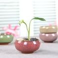 thumbnail image 4 of Flower Pot Delicate Practical Ceramic Compact Mini Simple Succulent Plant Planter for Home, 4 of 10