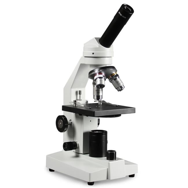 toy microscope walmart