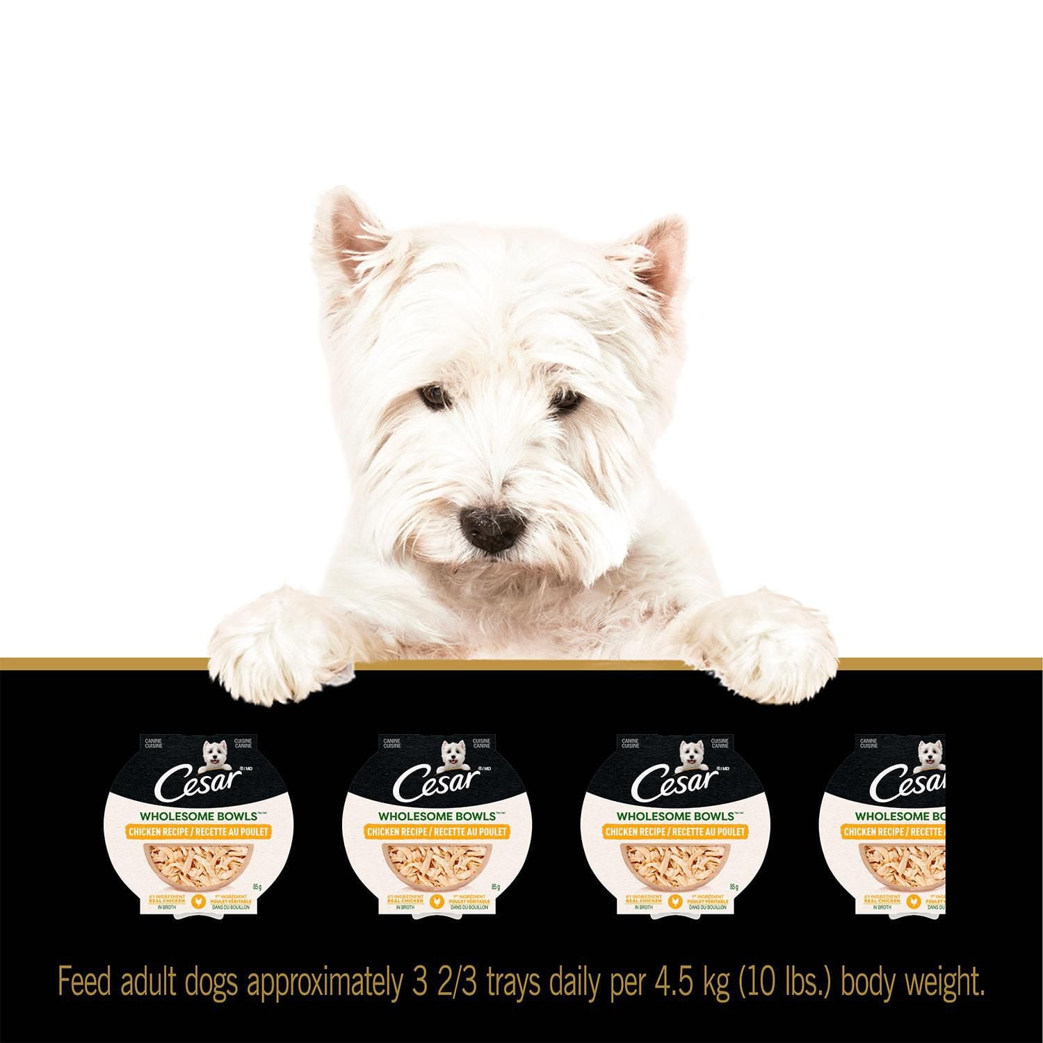 Cesar Wholesome Bowls Chicken Recipe Adult Wet Dog Food, 85g