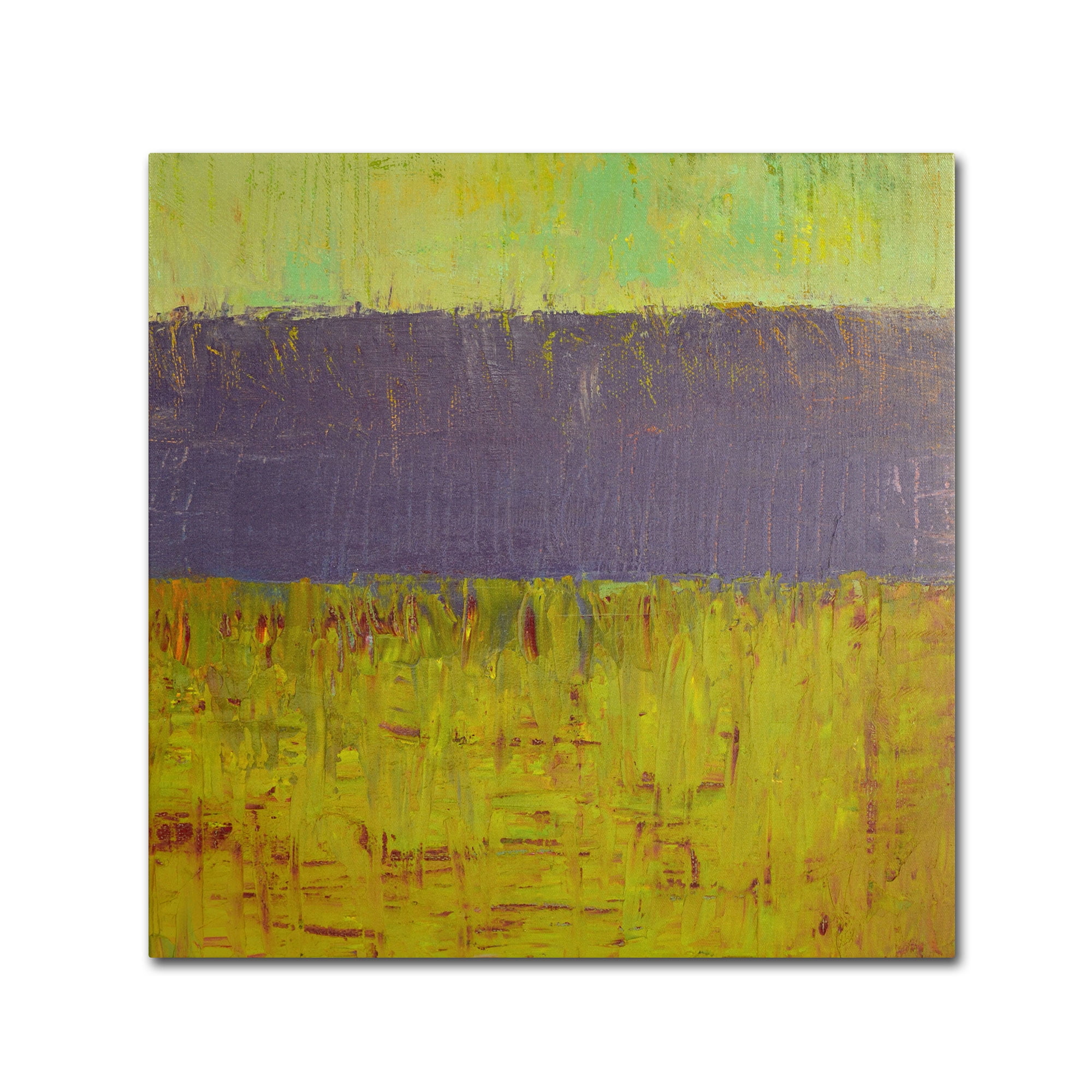 Trademark Fine Art "Highway Series Lake" Canvas Art by Michelle Calkins