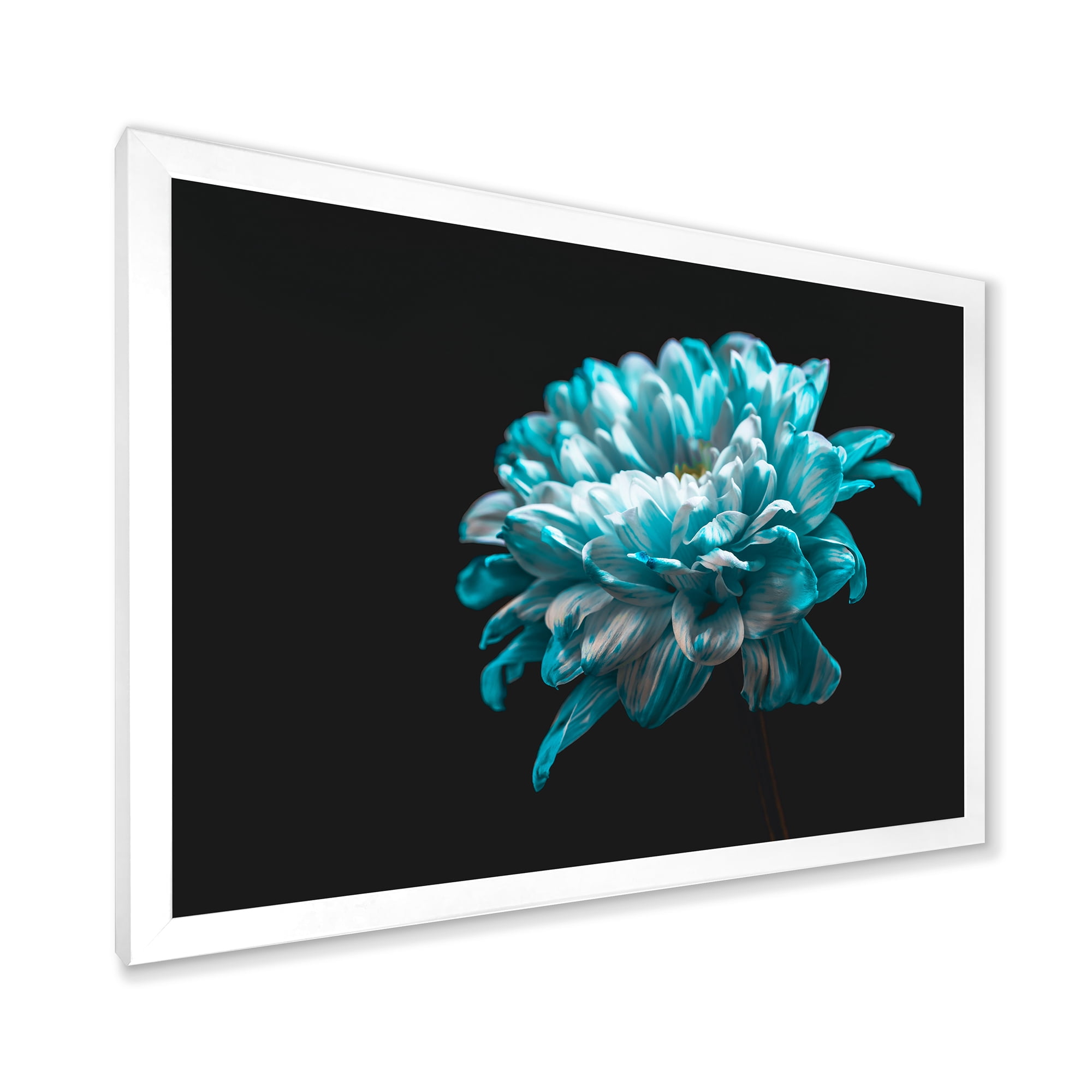Designart 'Close Up Of White and Pure Blue Daisy Flower II' Traditional Framed Art Print