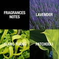 thumbnail image 4 of Paul Sebastian, Cologne Spray for Men, 4. oz, 4 of 6