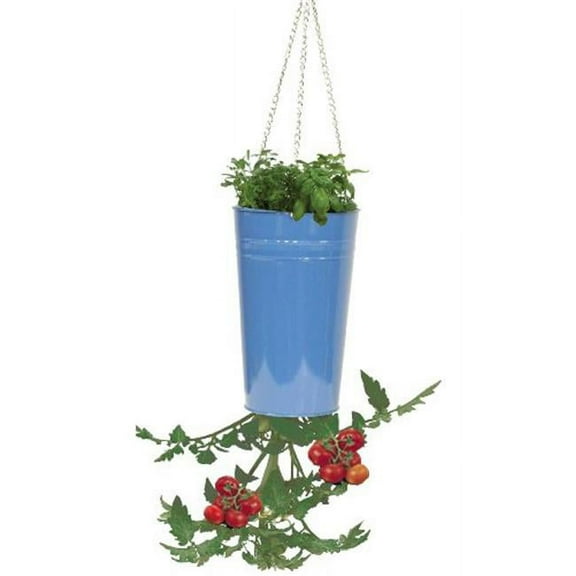 Enameled Galvanized Upsidedown Tomato, Pepper Hanging Planter - Blue