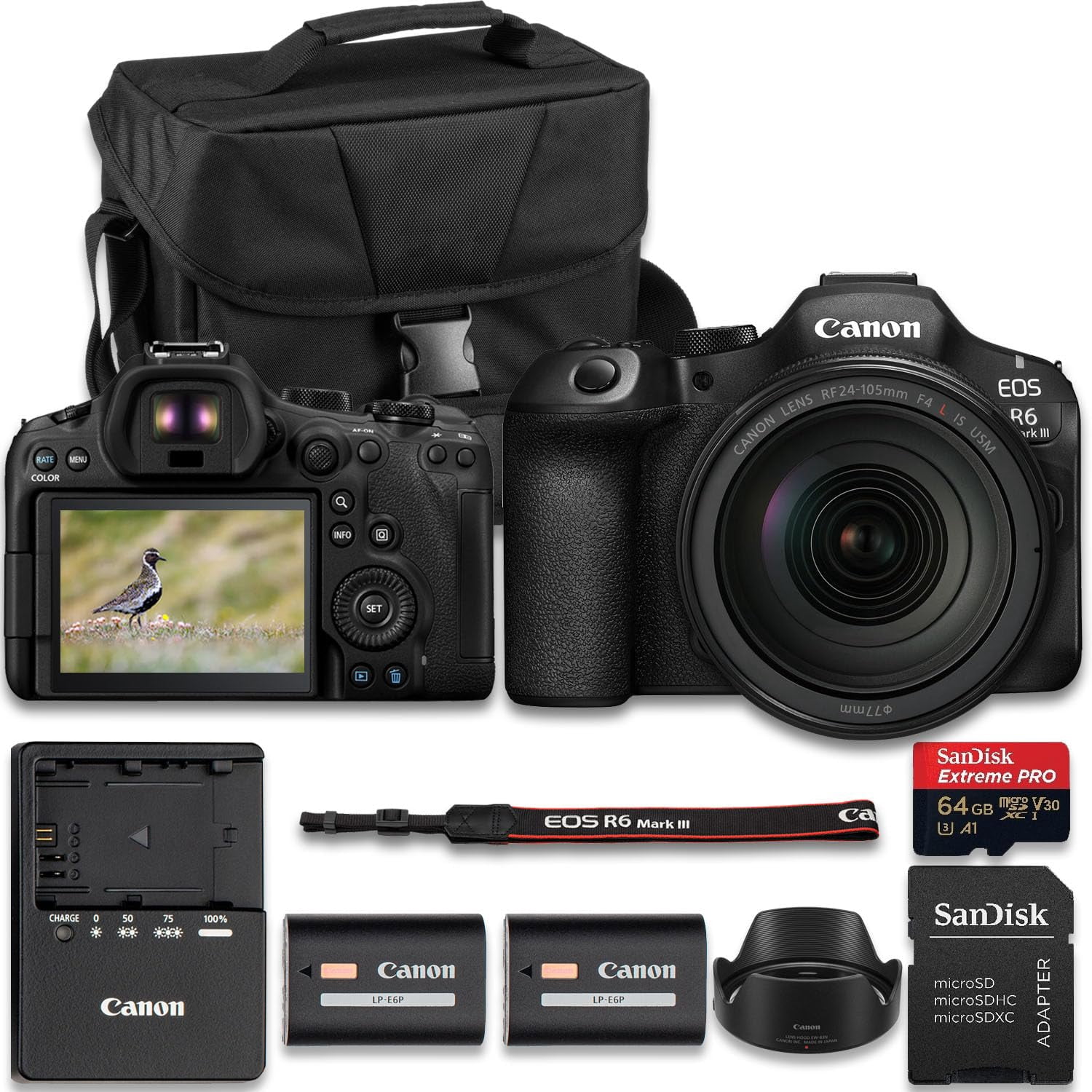 Canon EOS R8 DSLR with RF 24-50mm Lens, 2x SanDisk 32GB, LED Flash