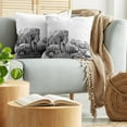 thumbnail image 5 of Ambesonne Black White Throw Pillow Cover 2 Pack, Savannah Animals Sketch, 16", White and Black, 5 of 7