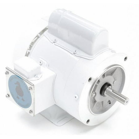 Leeson Washdown Motor,1/2 HP,10-3/8 in. L,CWSE 113581.00